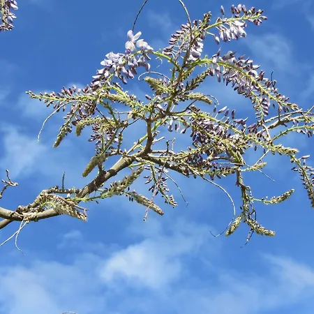 Couette-café La Maison De Natasha Castillon-en-Couserans