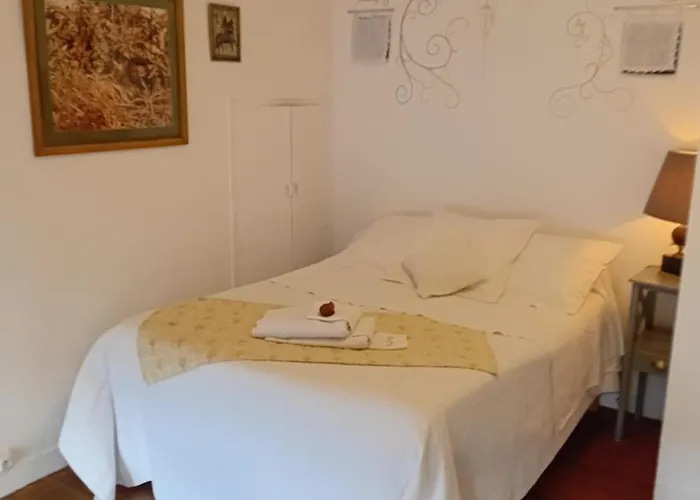 Bed & Breakfast La Maison De Natasha Castillon-en-Couserans