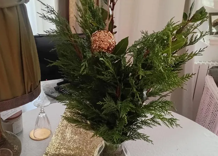 Bed & Breakfast La Maison De Natasha Castillon-en-Couserans