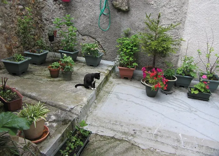 La Maison De Natasha